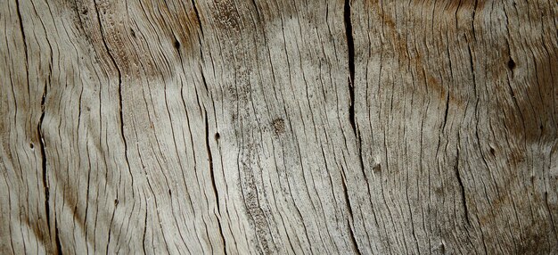 natual textued wooden surface