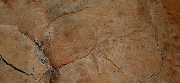 Superficie in legno testurizzata naturale