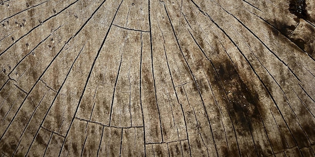 natual textured wooden surface