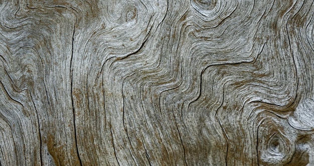 Photo natual textured wooden surface