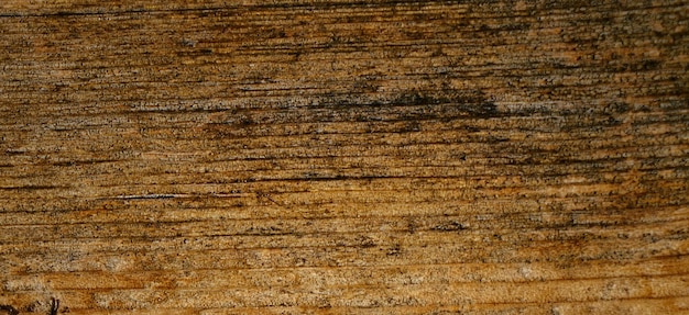 natual textured wooden surface