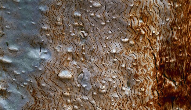 natual textured wooden surface