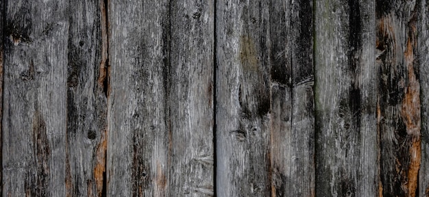 natual textured wooden surface