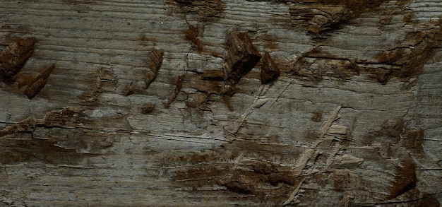 natual textured wooden surface