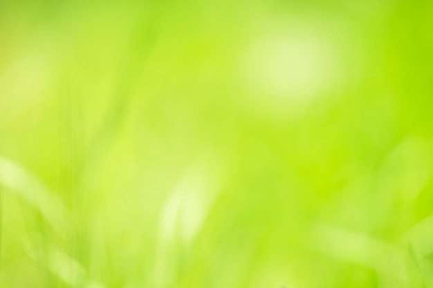 Natural abstract background green color