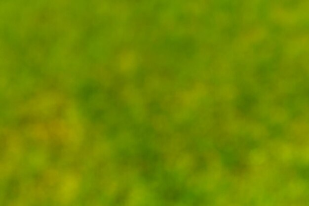 Natural and abstract blurred green background. eco concept