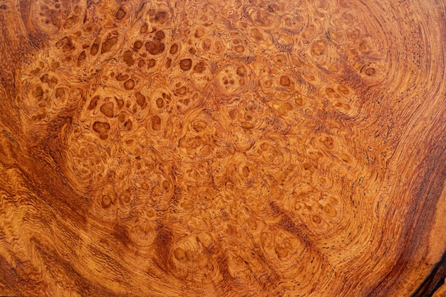 Natural Afzelia burl wood texture