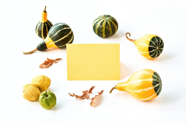 Natural Autumn decor Decorative Fall pumpkins and quince Copyspace place for text on paper card