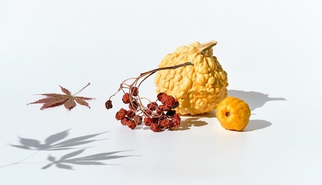 Natural Autumn decorations, yellow pumpkin, quince and dry rowan berry