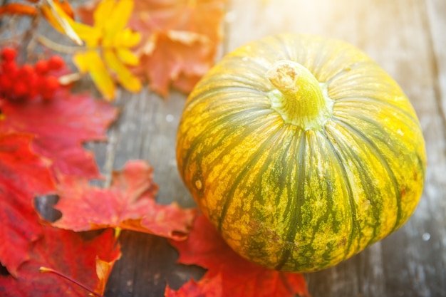 自然な秋の秋の景色カボチャとカエデの葉を木製の背景にインスピレーションを与える10月または9月...