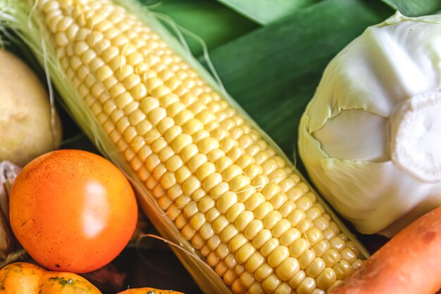 Natural background fresh corn closeup macro shot