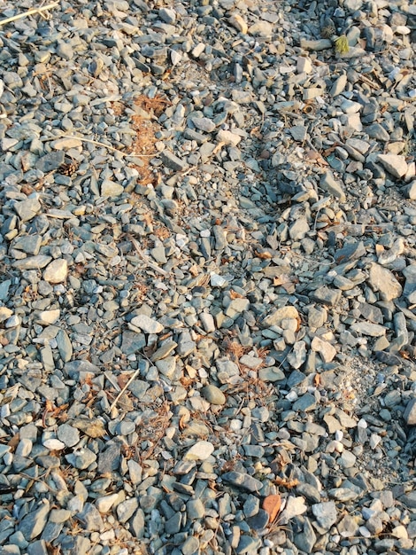 Natural background from small stones pebbles, sand and natural\
branches, vertical frame.