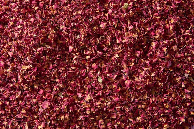 Foto sfondo naturale di petali di rosa essiccati rosa