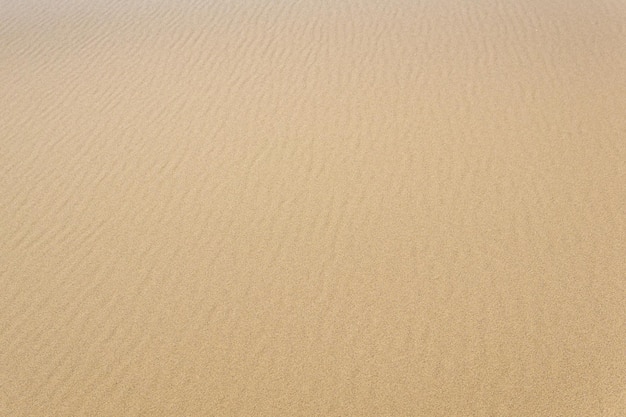 Natural background sandy desert surface with dunes