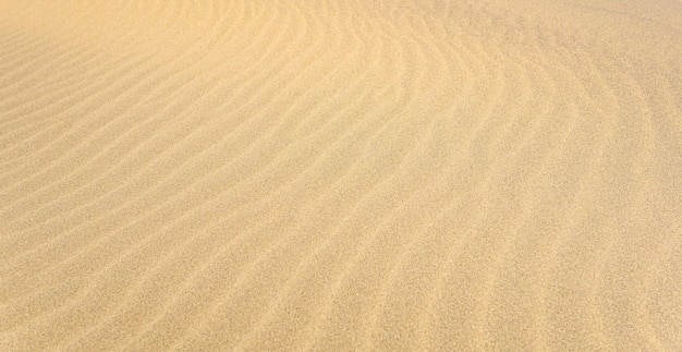 Natural background sandy desert surface with wind ripples