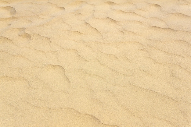 Natural background sandy desert surface with wind ripples