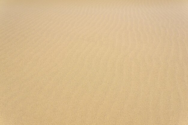 Natural background sandy desert surface with wind ripples