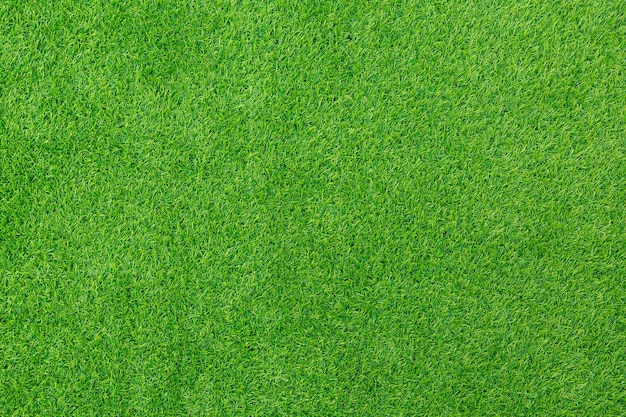 Natural background and texture Artificial evergreen lawn grass Flat lay