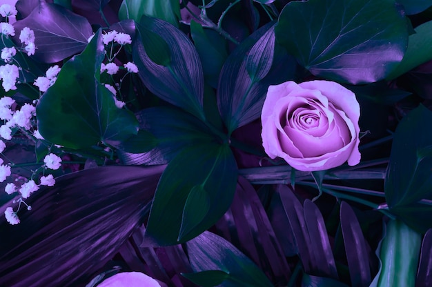 Natural background purple: Lấy cảm hứng từ sự đa dạng của thiên nhiên, hình ảnh nền màu tím tự nhiên sẽ khiến bạn choáng ngợp và đầy ngưỡng mộ. Hãy thưởng thức và trải nghiệm ngay để có những giây phút thư giãn sau những giờ làm việc căng thẳng.