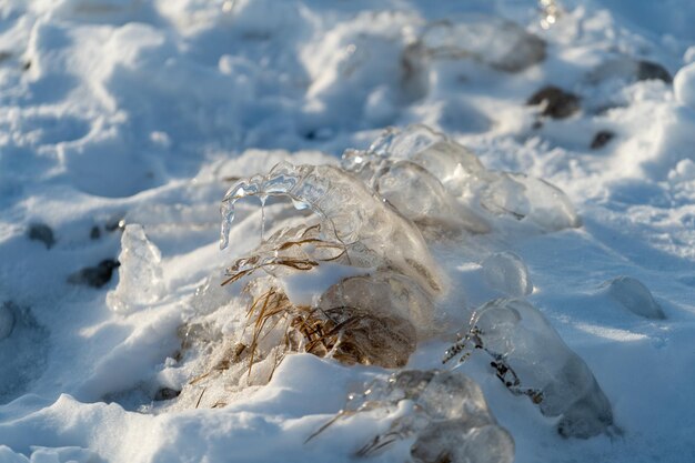 Natural background with ice crystals on plants after an icy rain