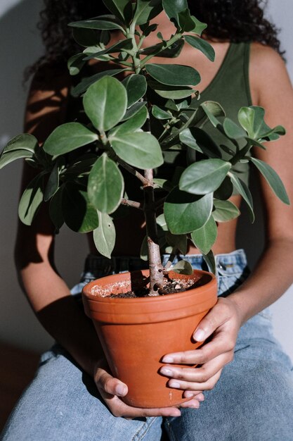 自然の美しい植物の写真