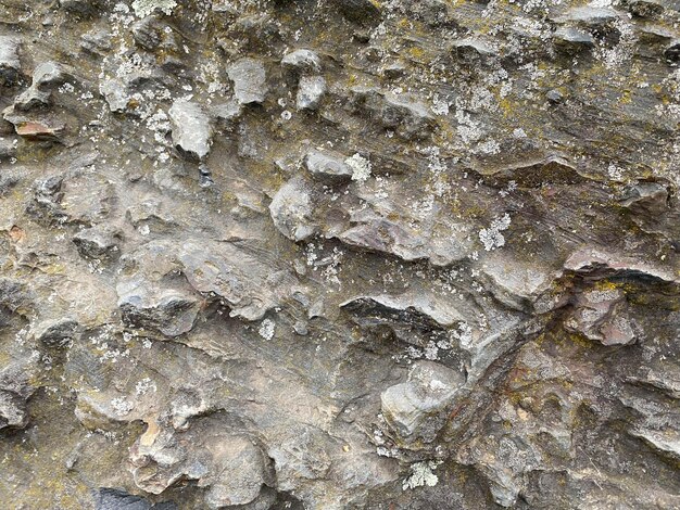 ほこりやコケで覆われた自然な美しい質感の鋭い硬い石の凸灰色の背景