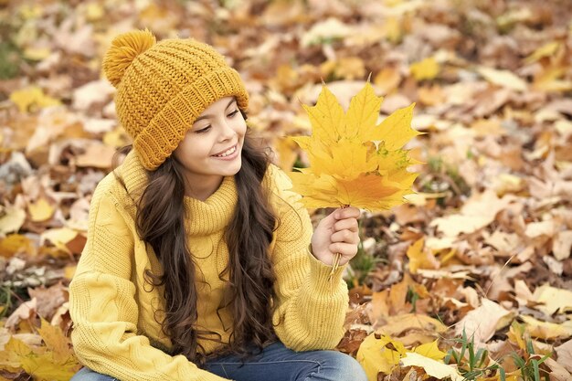自然の美 秋の季節 ファッション 帽子をかぶった10代の女の子の肖像画 秋の葉を握る