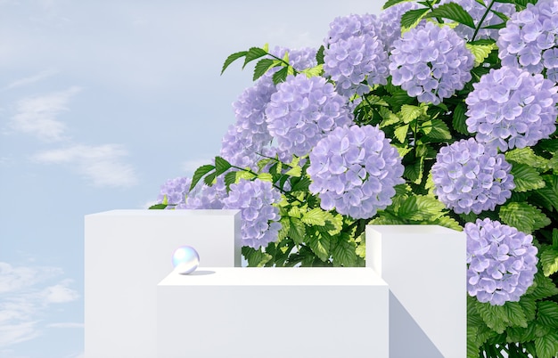 Natural beauty podium for product display with hydrangea flower. 3d render.