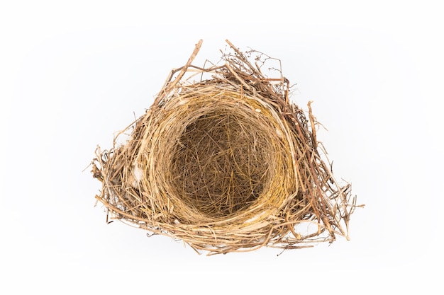 Natural bird's nest isolated on white background