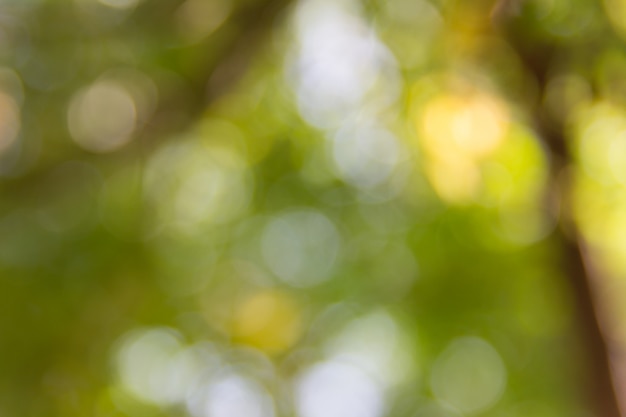 Natural Bokeh,blurred bokeh