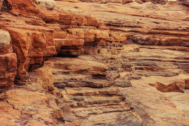 自然の茶色のcanyan崖テクスチャ壁の背景。