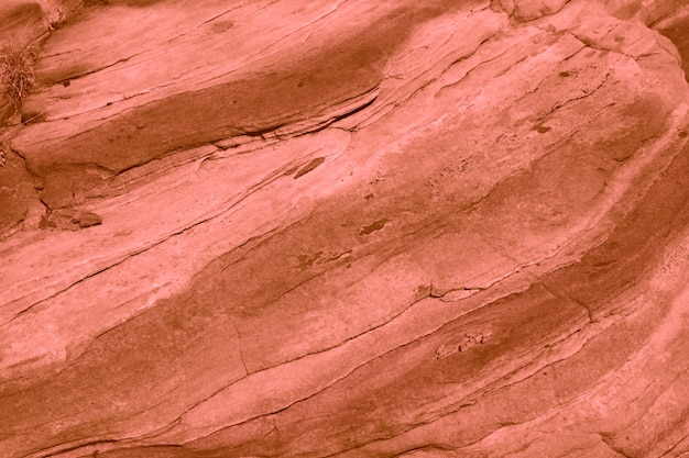 Foto fondo e struttura di corallo marroni naturali