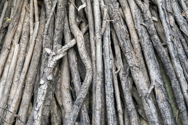 Natural chopped firewood wooden background.