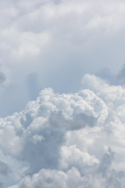 夏の自然の雲景