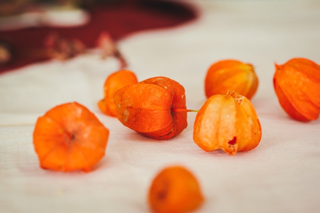 Natural colorful autumn decorations physalis fetus close up