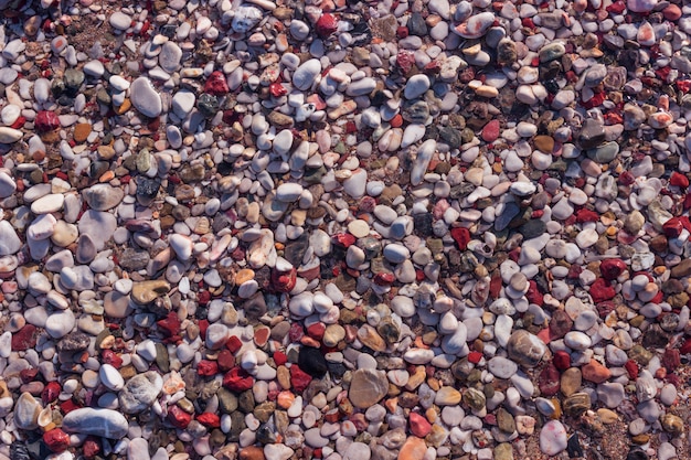 Natural colorful pebble in the water. 