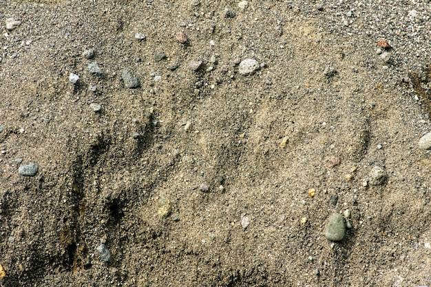 Natural colors of sandstone for background