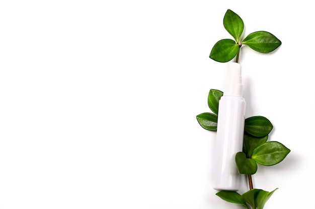 Bottiglia di crema cosmetica naturale con vista dall'alto dello spazio vuoto della pianta verde