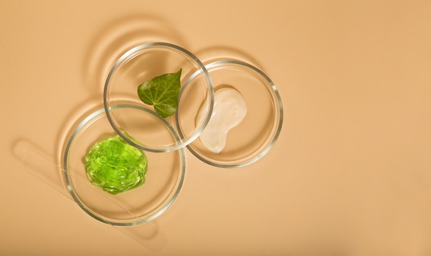 Natural cosmetic skincare products in petri dishes on beige background. Aloe gel, moisturizer cream 