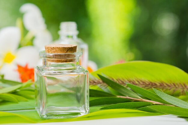 緑の葉の背景、空のボトル、自然の美容スキンケア製品、美容製品コンセプトの自然化粧品ボトルコンテナー