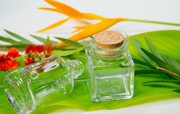 natural cosmetics bottle containers with green leaf