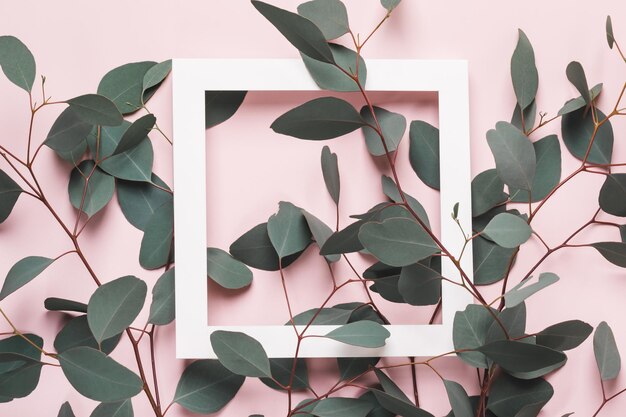 Natural creative background. Eucalyptus branches and white square frame on pink background. Minimal summer concept.