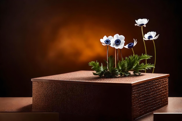 Natural cubic brown plastic podium background with anemone flower in the photo studio