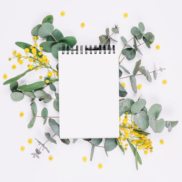 Natural decoration with a notebook