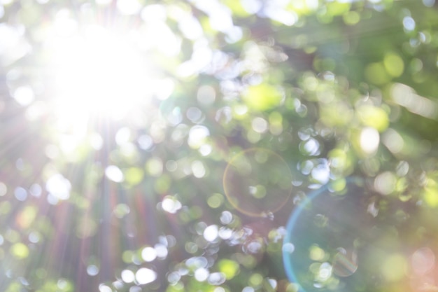 natural defocused background with sun rays creating bokeh