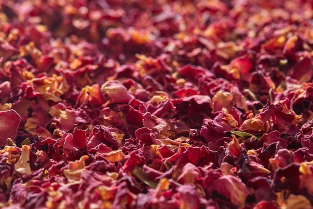 Photo natural dried pink rose petals