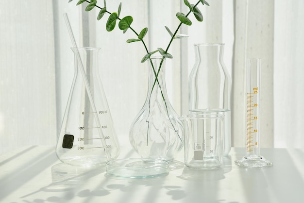 천연 약물 연구 과학 유리 제품에서 식물 추출 대체 녹색 허브 의학 천연 유기농 스킨 케어 미용 제품 실험실 및 개발 개념