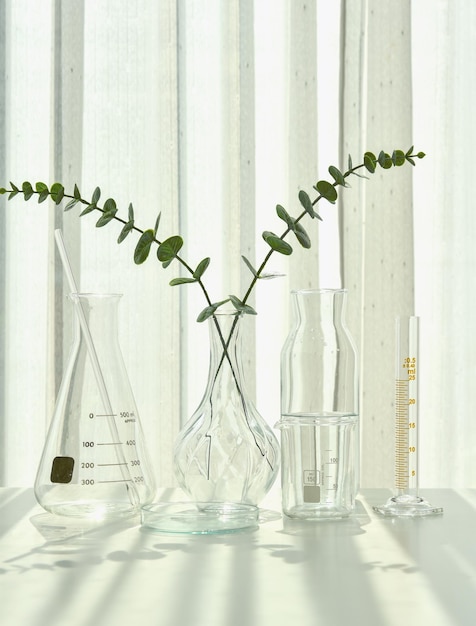 Natural drug research Plant extraction in scientific glassware Alternative green herb medicine Natural organic skincare beauty products Laboratory and development concept