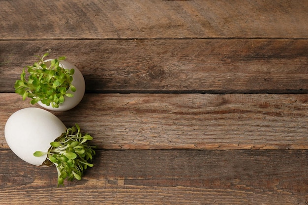 Foto uova di pasqua naturali con microgreen sullo sfondo di legno felice pasqua stilosa natura morta rurale