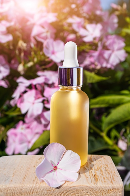 Natural essential oil in a glass bottle against a space of pink flowers. The concept of organic essences, natural cosmetic and health products. Modern apothecary.